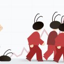 999디자인랩 조선일보