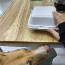 댕댕공방 이미지