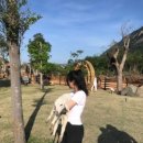 재희목장 이미지