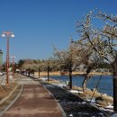 송정해변길 이미지