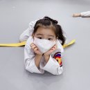 충의K타이거즈태권도장