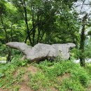 정글숲