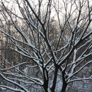 강서회관 이미지