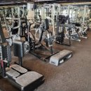 위아더 휘트니스 이미지