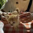 제이제이(JJ)푸드 이미지