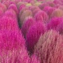 컴퓨터실무 A반 이미지