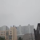 삼실 이미지