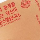 행잉플랜트 공기정화식물체험 이미지