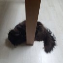 반려동물 의료센터 다울 이미지