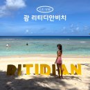 괌 스노쿨링 포인트 리티디안비치 프라이빗 투어 후기!
