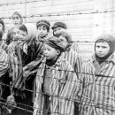 홀로코스트(Holocaust) 이미지
