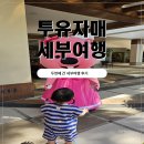 투유파크 | 투유자매 2년 만에 다시 찾은 세부 여행 후기