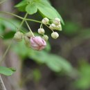 비룡산 정상 이미지