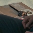 A Man Called Otto 이미지