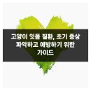 베베동물병원 이미지