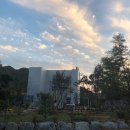 아리아펫 이미지