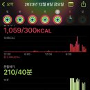 성남 중앙 권투체육관 이미지