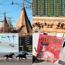 크리스피크림도넛 렛츠런파크점 | 렛츠런파크 서울 경마 하는법 경마공원 놀거리 과천 경마장