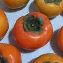 부유마트 이미지