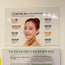 지오필러 이미지