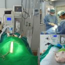 마더스동물병원 이미지