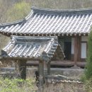 월란정사(月瀾精舍) Daum카페