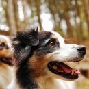 예손병원 이미지