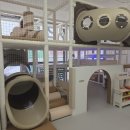 지성체육관 | [오룡 키즈카페 feat.내돈내산] 백일 잔치를 키즈카페에서?!?! 너무나 만족스러웠던 무키무키 무안오룡점