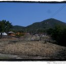 경일목장 이미지