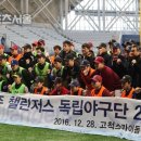 트라이파주