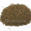 보양제약 이미지