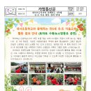 내서초등학교 Daum카페