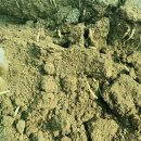 종삼농장 이미지