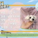 구칠사 네이버블로그