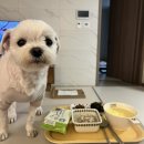 250409 위고비 1주차 후기 내돈내산 창원위고비 위고비음주량감소 위고비다이어트주사부작용 0.25mg 후기