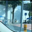 신호대기 횡단보도 이미지