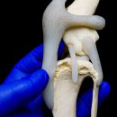 서울하이동물의료센터 이미지