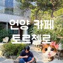 토르첼로 | 토르첼로[언양카페/언양핫플]