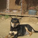 진도하루 이미지