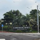 작은부엌앤 | 제주 가족여행 독채 캠퍼트리 호텔 앤 리조트 패밀리스위트 5인숙박 내돈내산 솔직 후기후기~! (조식)