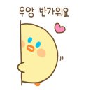 스시아오마츠 이미지