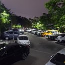 주정차023 네이버블로그
