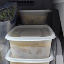 명가추어탕 | 착상에 좋은 음식, 보양명가 추어탕 내돈내산 후기