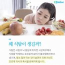 어설픈 식객의 아킬레스건 (2023.12.23) 이미지