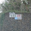 영락농원 -5 | 제주 한경면 연리지가든