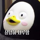 마라농장 이미지