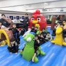 용인대 금메달 태권도 이미지