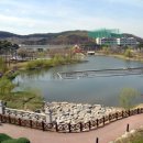 동백호수공원 이미지