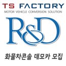 카티에스 이미지