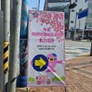 영어도서관 | 속초 어린이 영어도서관 다녀온 솔직 후기 실내활동추천